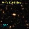 V* V1161 Sco
