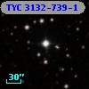TYC 3132-739-1