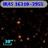 IRAS 16310-3955