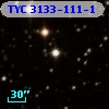 TYC 3133-111-1