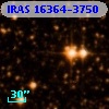IRAS 16364-3750