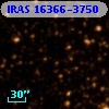 IRAS 16366-3750