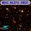 IRAS 16371-3955