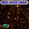 IRAS 16377-4019