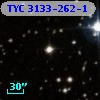 TYC 3133-262-1