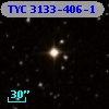 TYC 3133-406-1