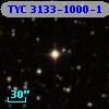 TYC 3133-1000-1