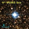 V* V1065 Sco