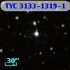 TYC 3133-1319-1