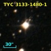 TYC 3133-1480-1