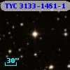TYC 3133-1481-1