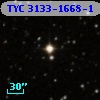 TYC 3133-1668-1