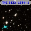 TYC 3133-1674-1