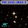TYC 3133-2014-1