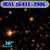 IRAS 16431-3906