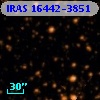 IRAS 16442-3851