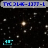 TYC 3146-1377-1