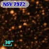 NSV  7972
