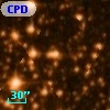 CPD-39  7158