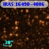 IRAS 16490-4006