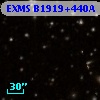 EXMS B1919+440A