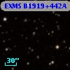 EXMS B1919+442A