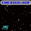 EXMS B1919+442B