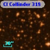 Cl Collinder  318
