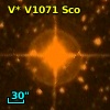 V* V1071 Sco
