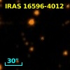 IRAS 16596-4012