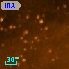 IRAS 16526-4007