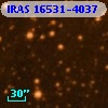 IRAS 16531-4037