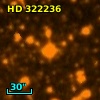 HD 322236