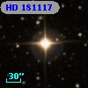 HD 181117