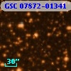 GSC 07872-01341