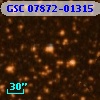 GSC 07872-01315