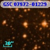 GSC 07872-01229