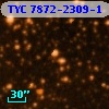 TYC 7872-2309-1
