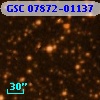 GSC 07872-01137