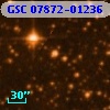 GSC 07872-01236