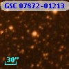 GSC 07872-01213