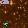 V* V1217 Sco