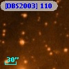 [DBS2003] 110