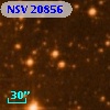 NSV 20856