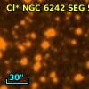 Cl* NGC 6242    SEG      55