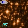 Cl* NGC 6242    SEG      57