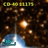 CD-40 11175