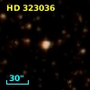 HD 323036