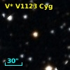 V* V1123 Cyg