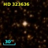 HD 323636